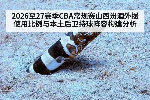 2026至27赛季CBA常规赛山西汾酒外援使用比例与本土后卫持球阵容构建分析